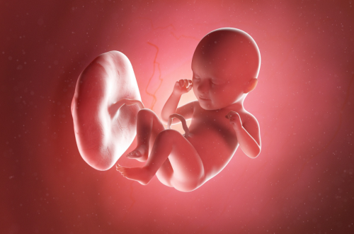 懷孕期間喝酒了對胎兒有影響嗎？有什么影響？